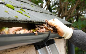 gutter cleaning Wasp Green, Surrey